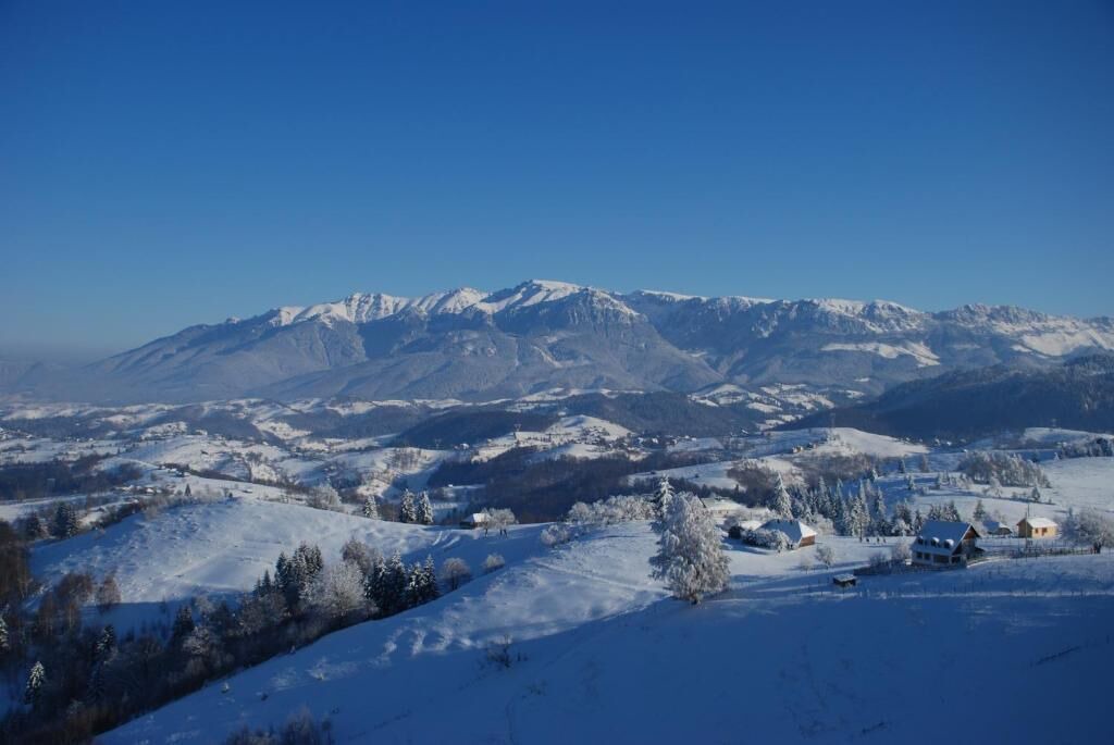 Photo of Others in Sirnea