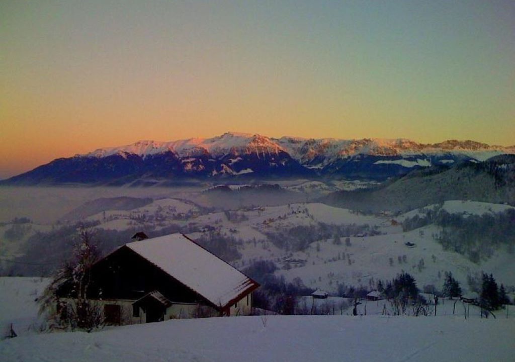 Photo of Others in Sirnea