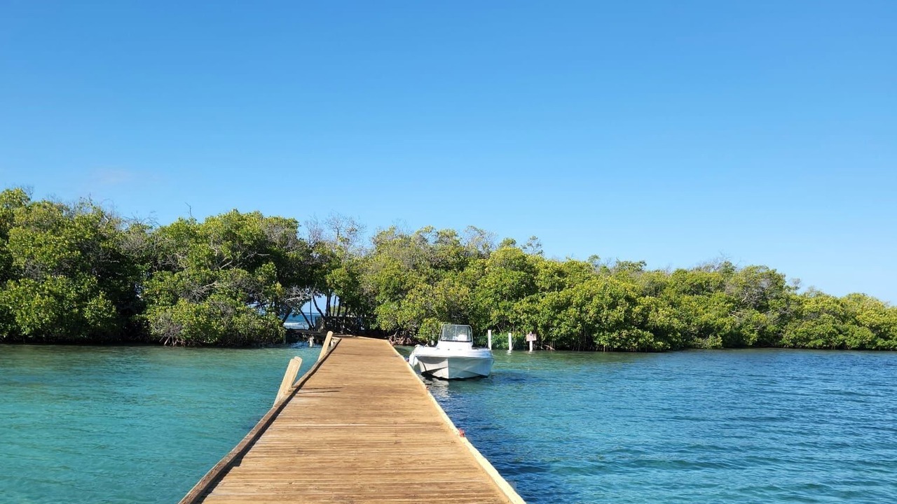 Photo of Outdoor in Lajas