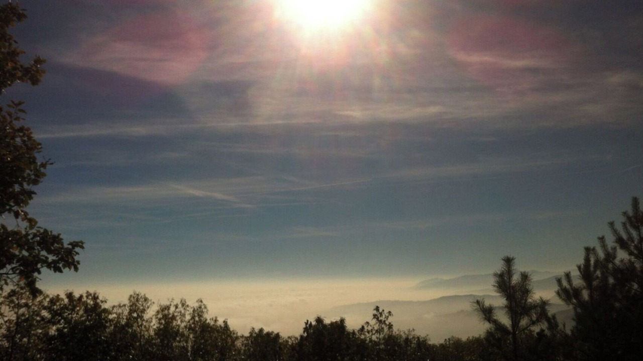 Photo of Outdoor in Ribeauville