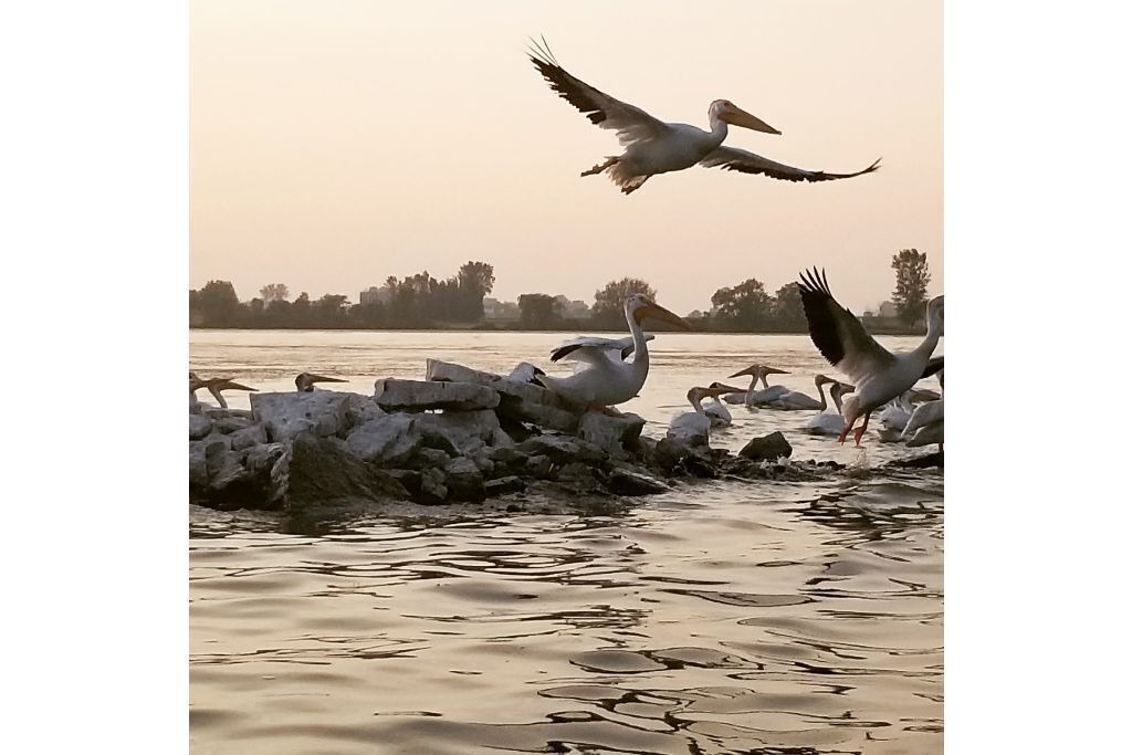 Photo of Others in Beaver Dam