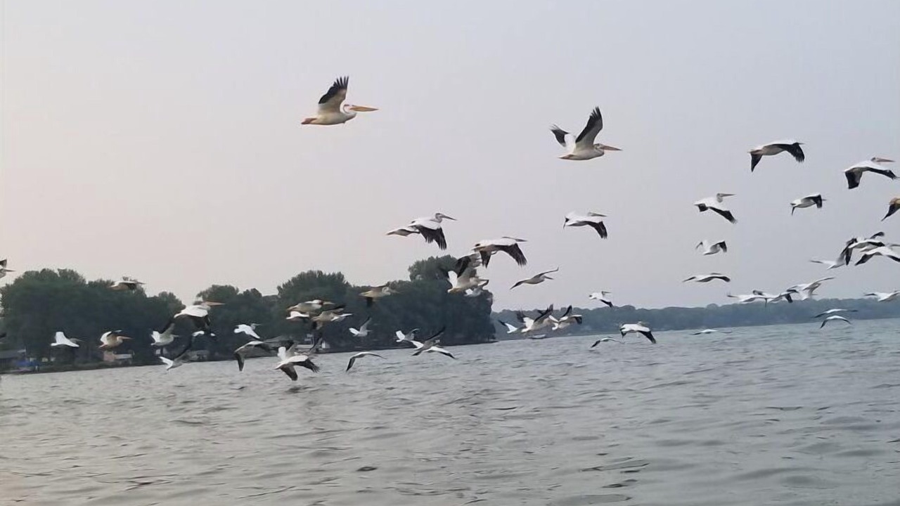 Photo of Outdoor in Beaver Dam