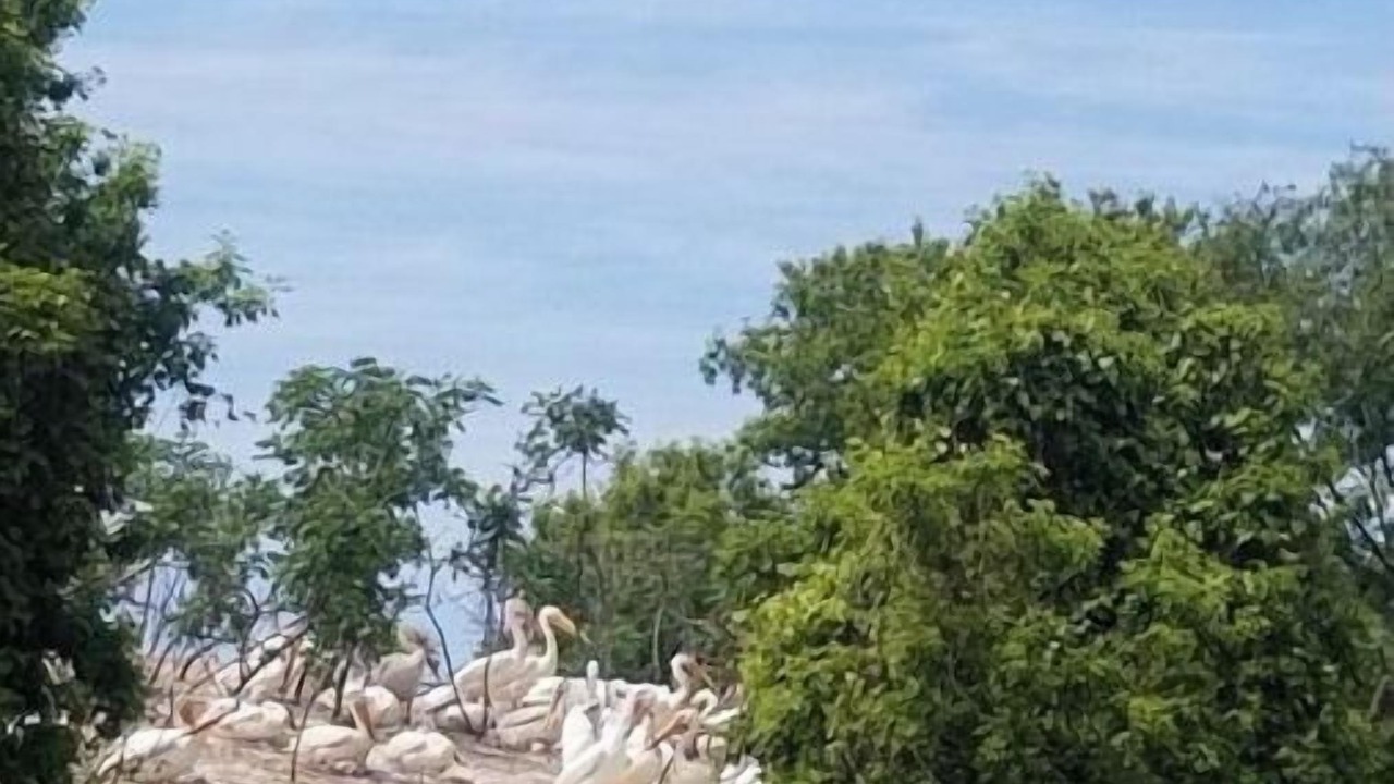 Photo of Others in Beaver Dam