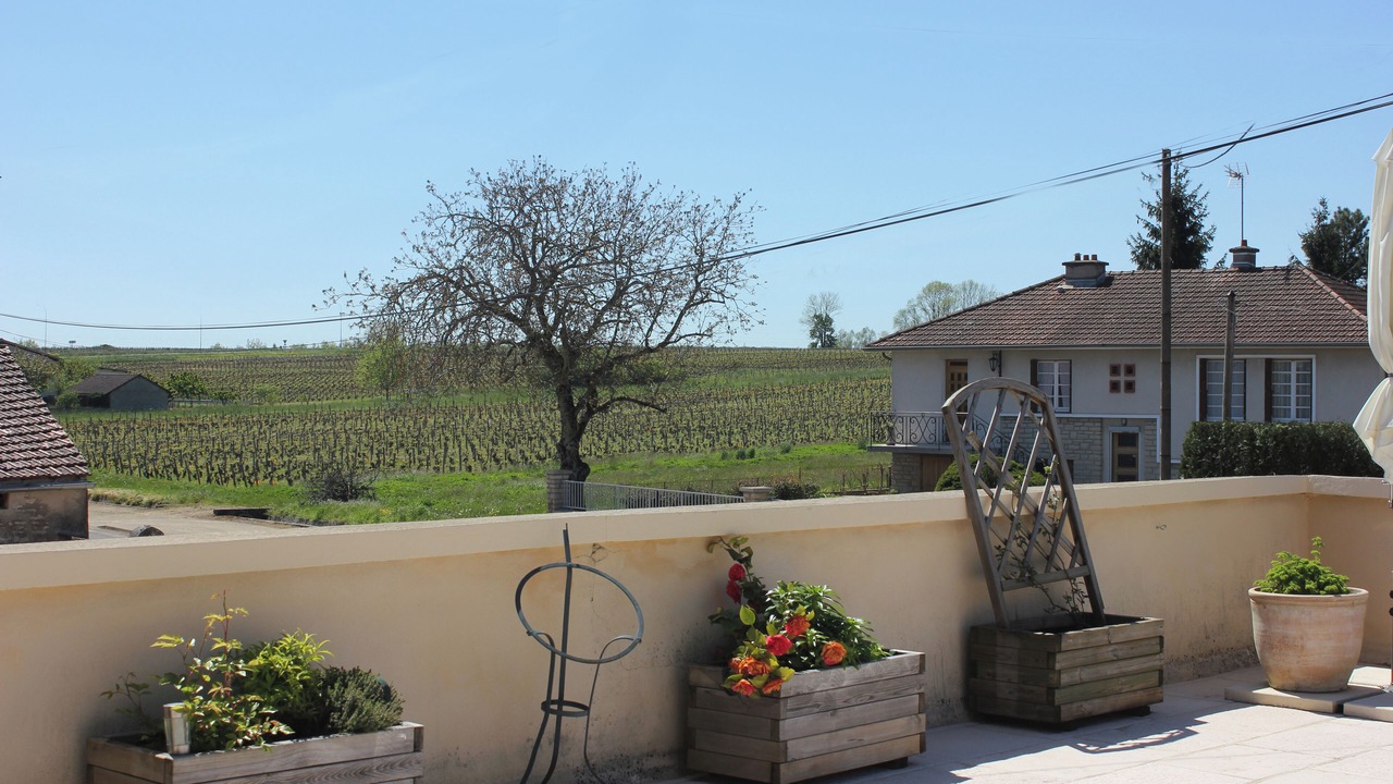 Photo of Others in Puligny-Montrachet