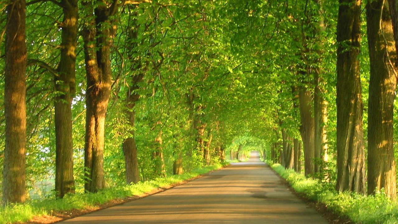 Photo of Outdoor in Wiselka