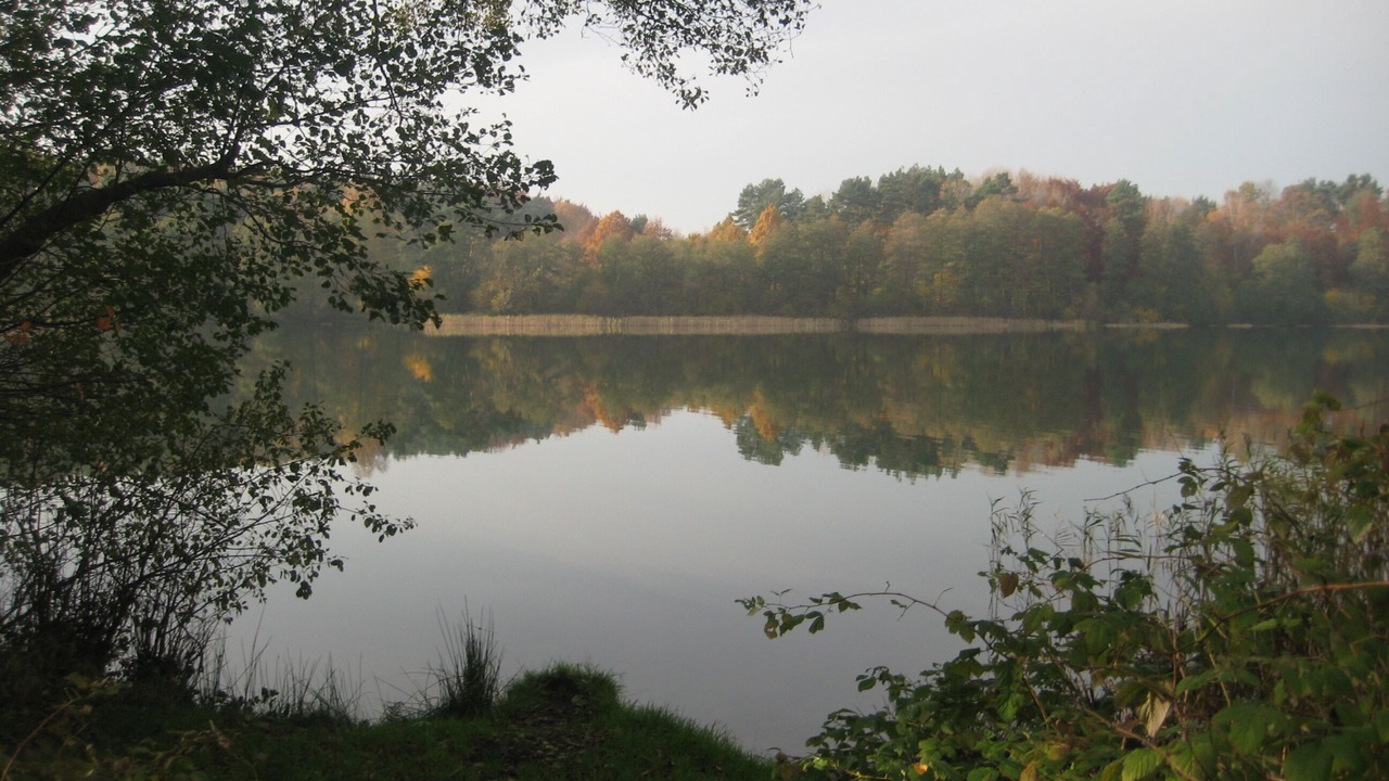 Photo of Outdoor in Wiselka