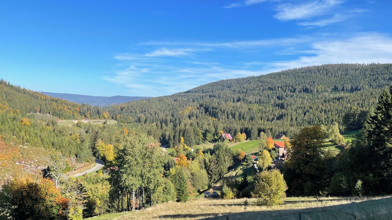 Photo of Others in Forbach