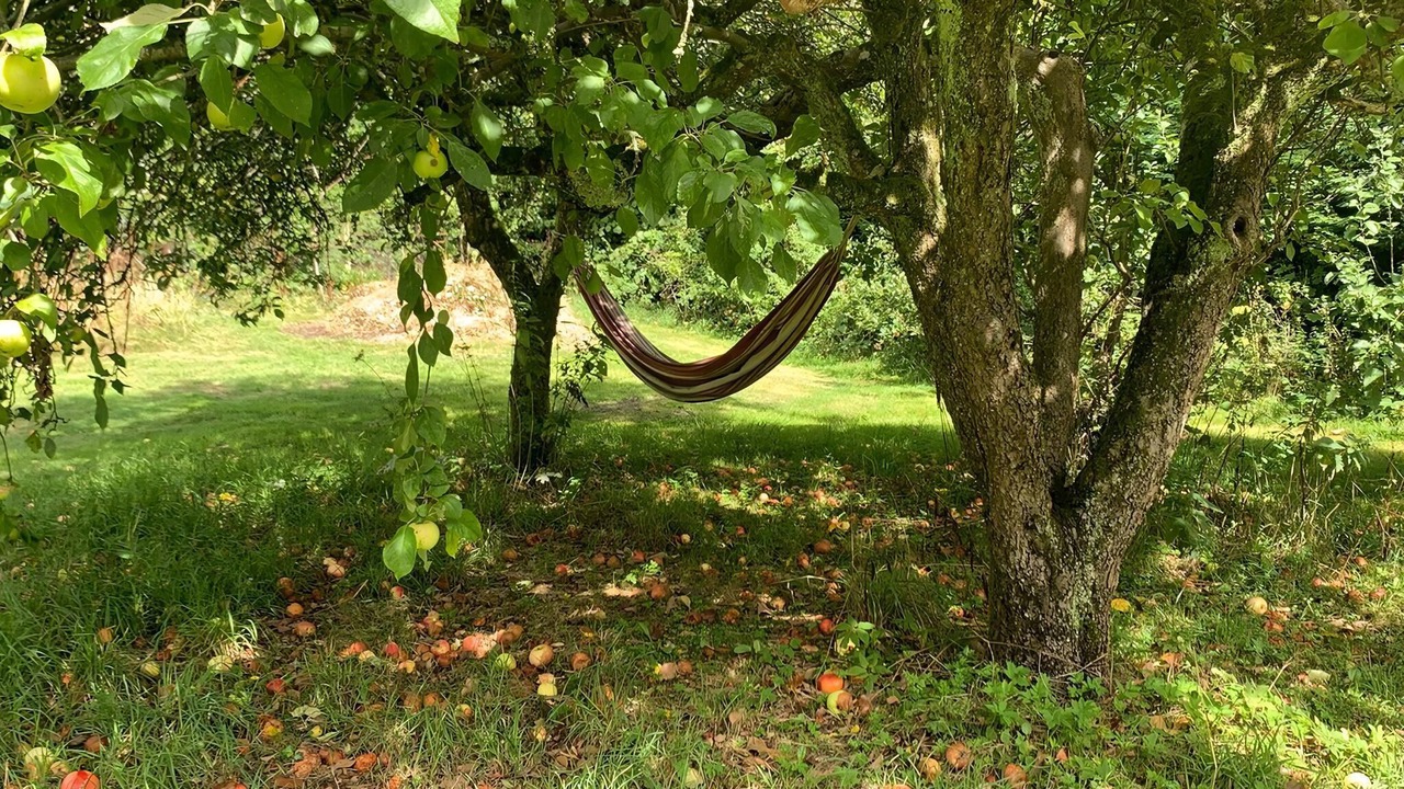 Photo of Others in Frant