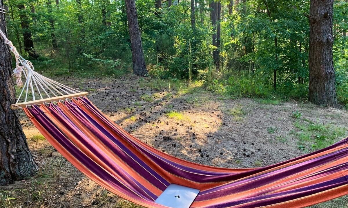 Photo of Outdoor in Pasym