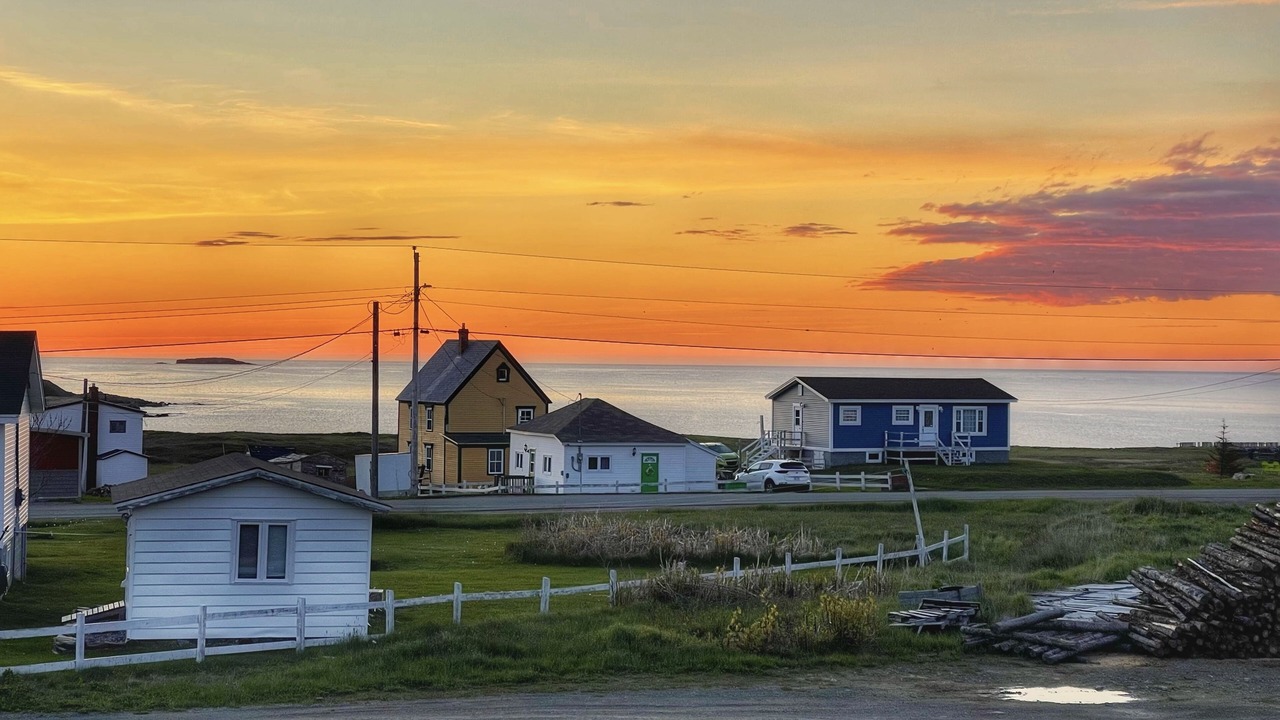 Photo of Others in Bonavista
