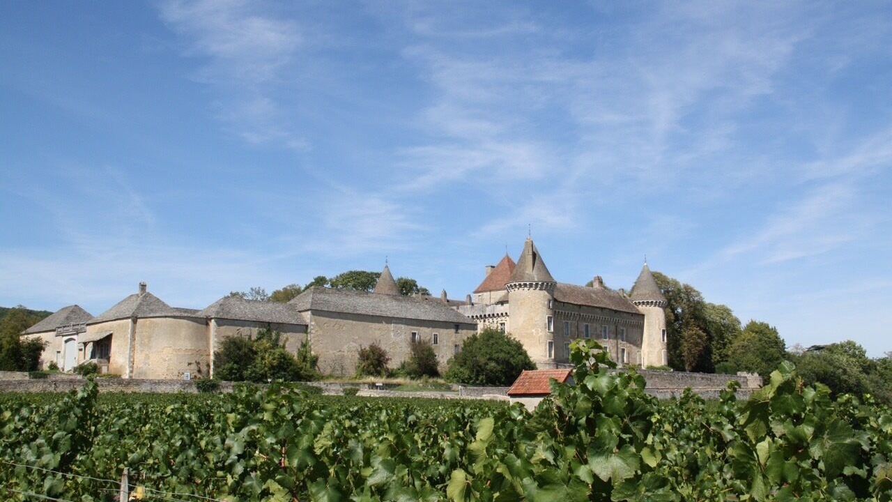 Photo of Outdoor in Rully