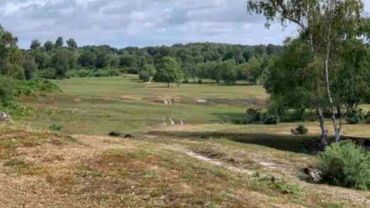 Photo of Others in New Forest District