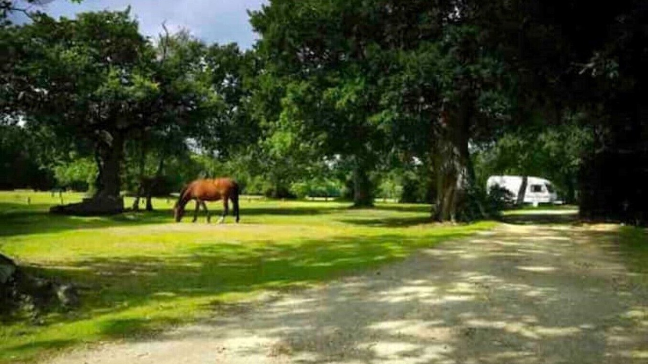 Photo of Outdoor in New Forest District
