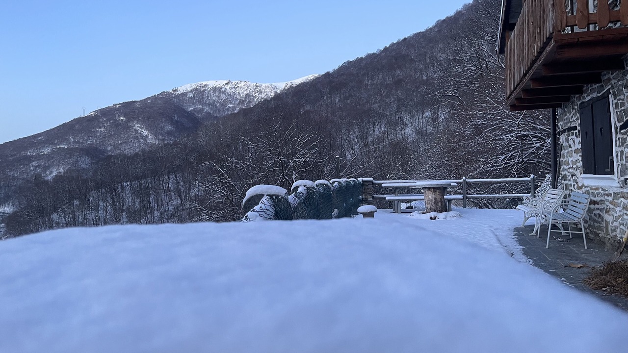 Photo of Outdoor in Gambarogno