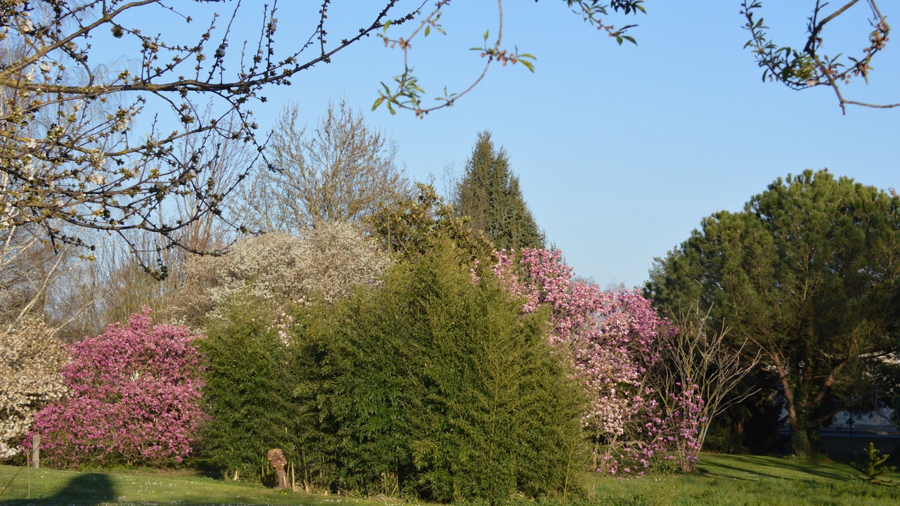 Photo of Outdoor in Tarbes