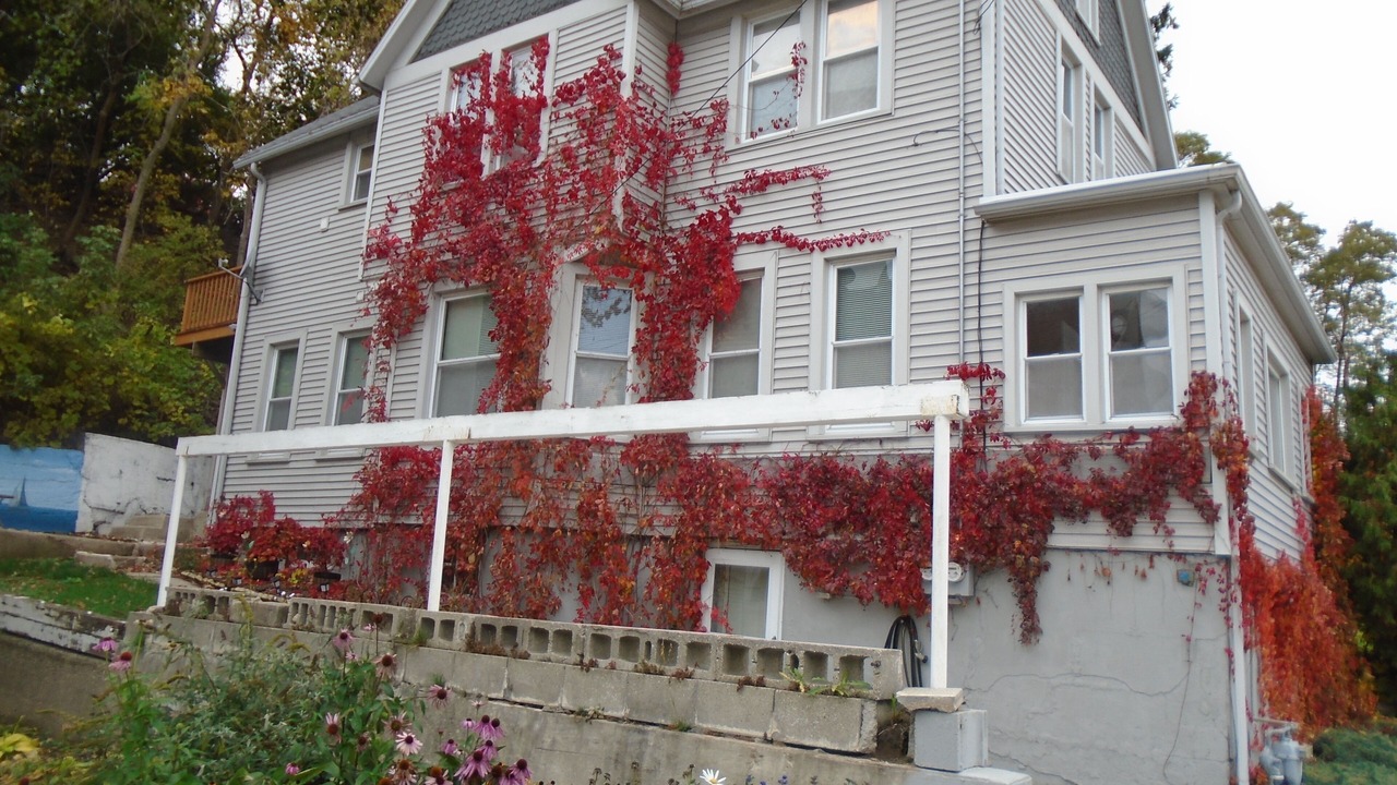 Photo of Outdoor in Port Washington