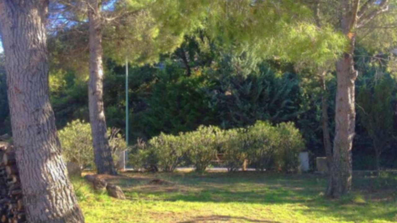 Photo of Outdoor in Montesquieu-des-Alberes