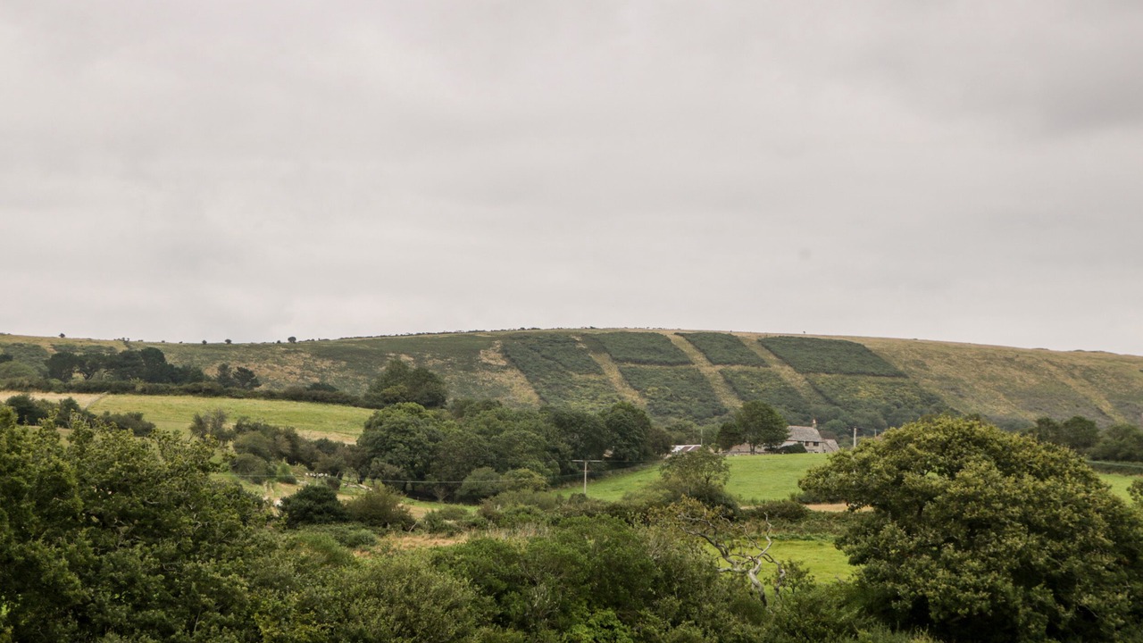 Photo of Outdoor in Corfe Castle