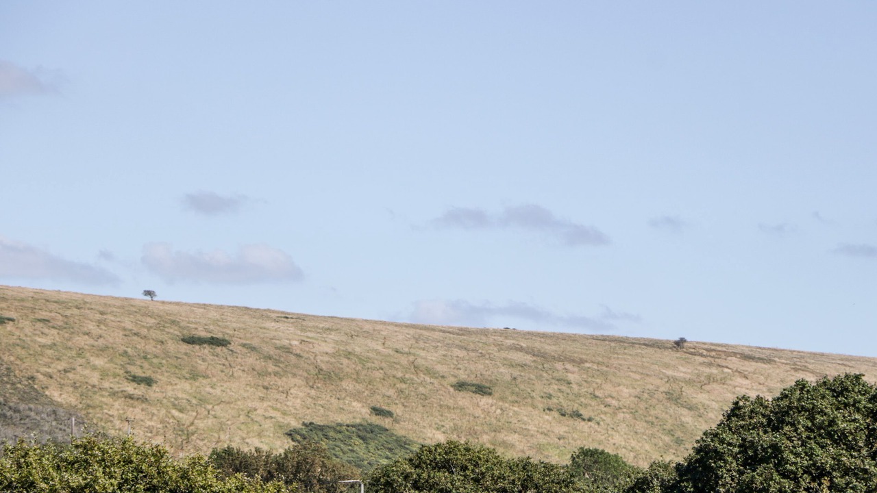 Photo of Outdoor in Corfe Castle