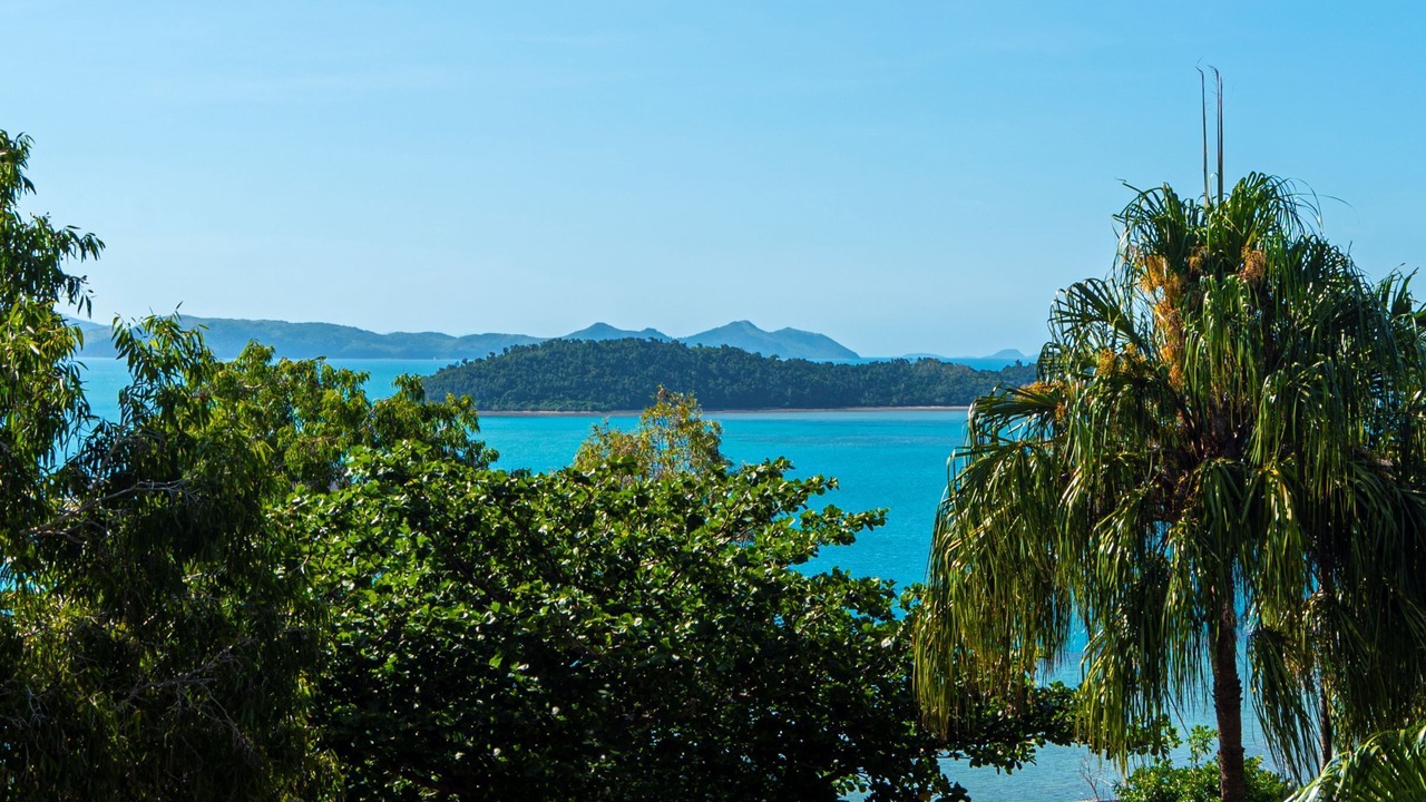 Photo of Others in Hamilton Island