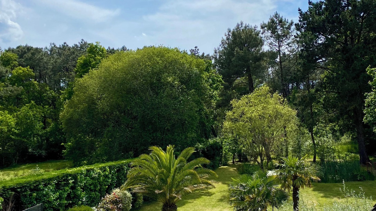Photo of Outdoor in Carnac