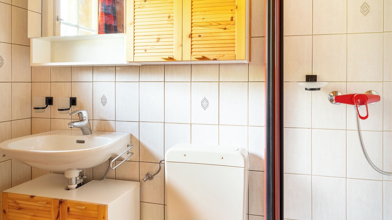 Photo of Bathroom in Axalp