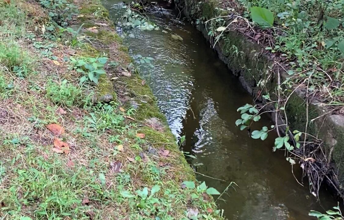 Photo of Outdoor in Holicong