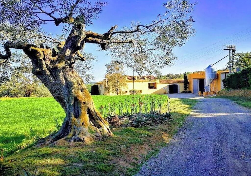 Photo of Outdoor in Garriguella