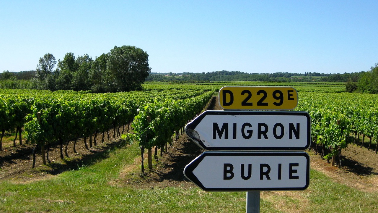 Photo of Others in Migron