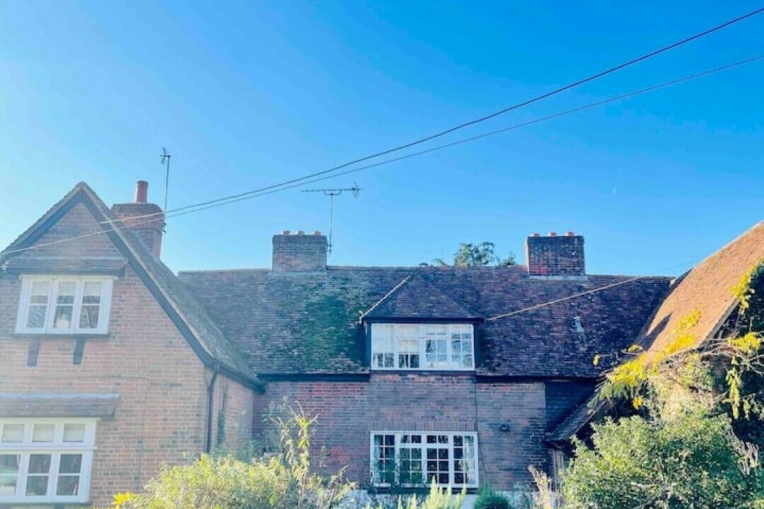 Photo of Outdoor in New Forest District