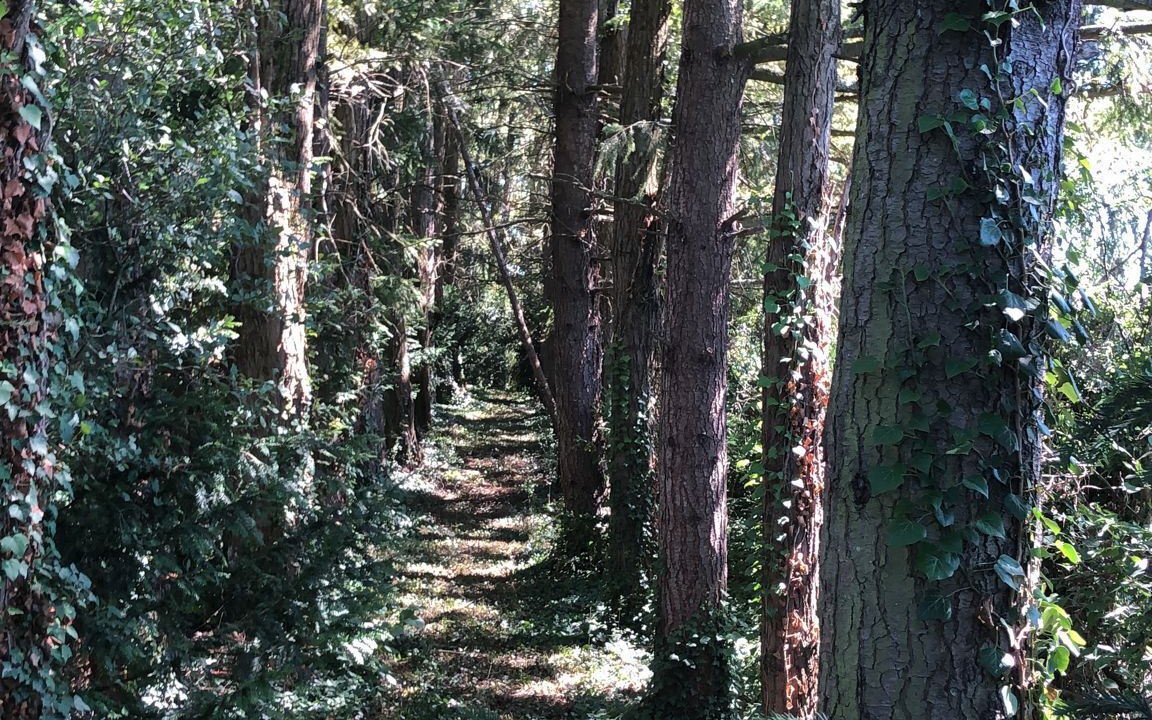 Photo of Outdoor in Cusset
