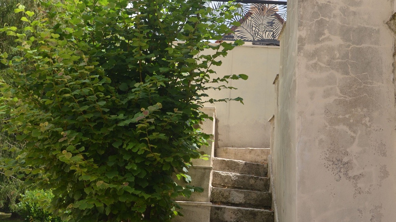 Photo of Outdoor in Cusset