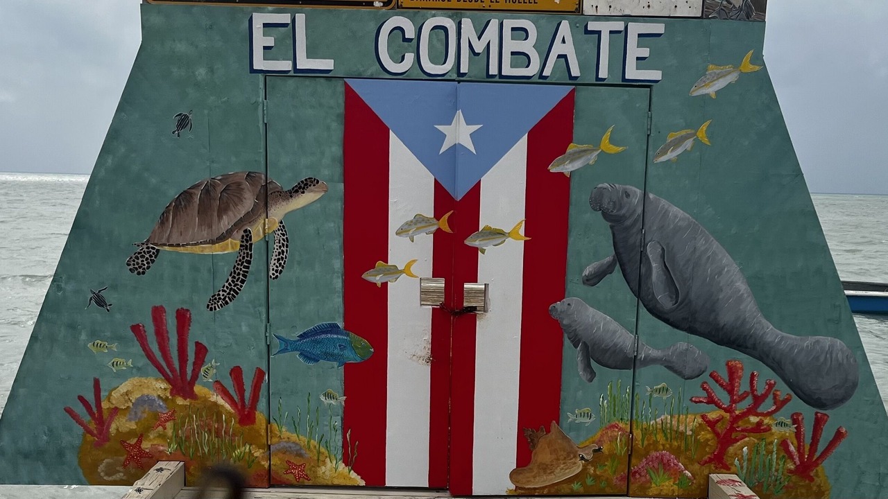 Photo of Others in Cabo Rojo