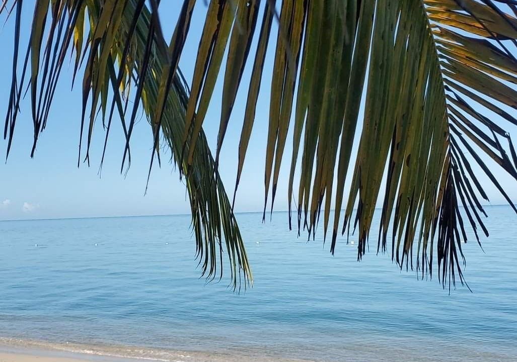 Photo of Others in Cabo Rojo