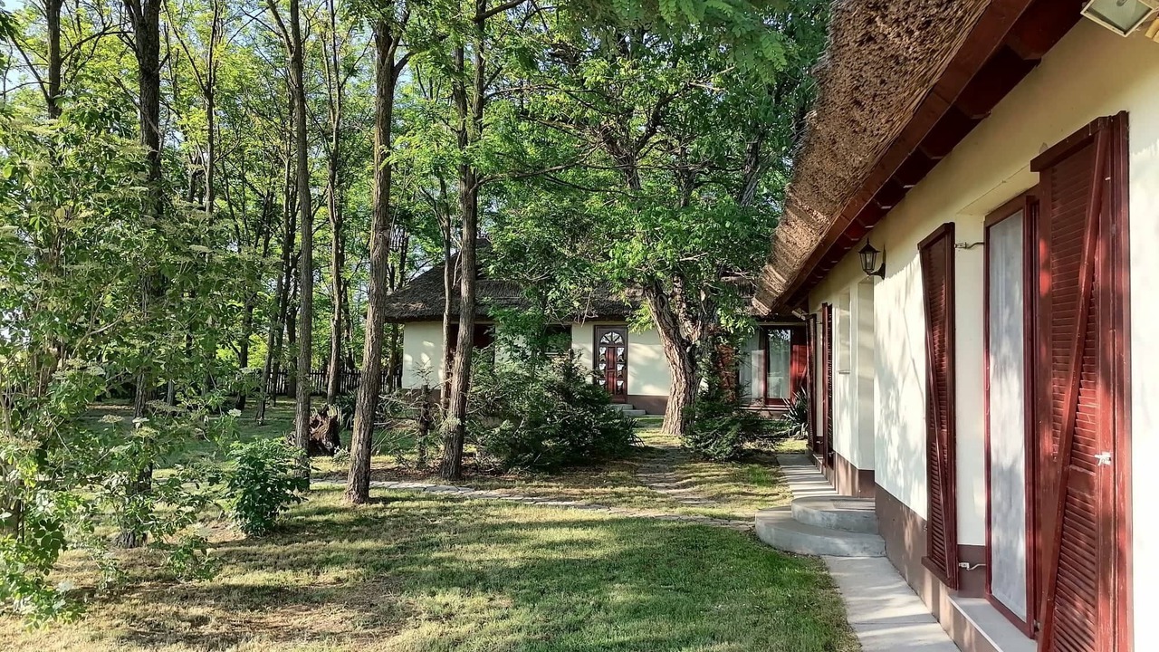 Photo of Outdoor in Orgovany