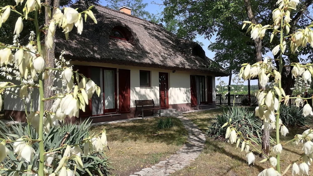 Photo of Outdoor in Orgovany