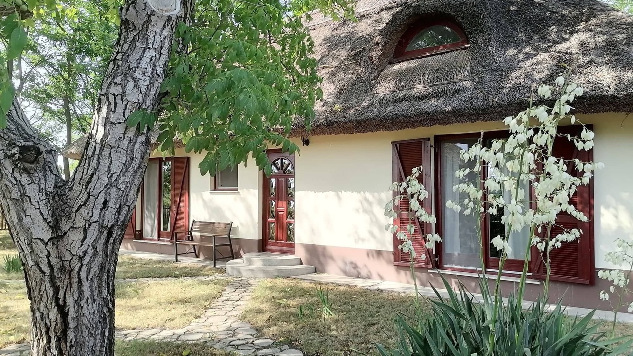 Photo of Outdoor in Orgovany