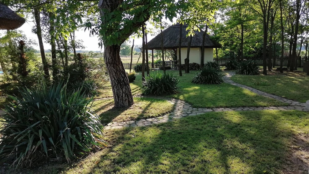 Photo of Outdoor in Orgovany