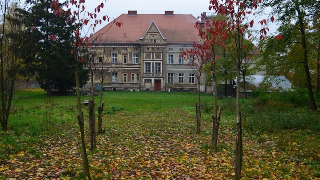 Photo of Outdoor in Swiebodzin