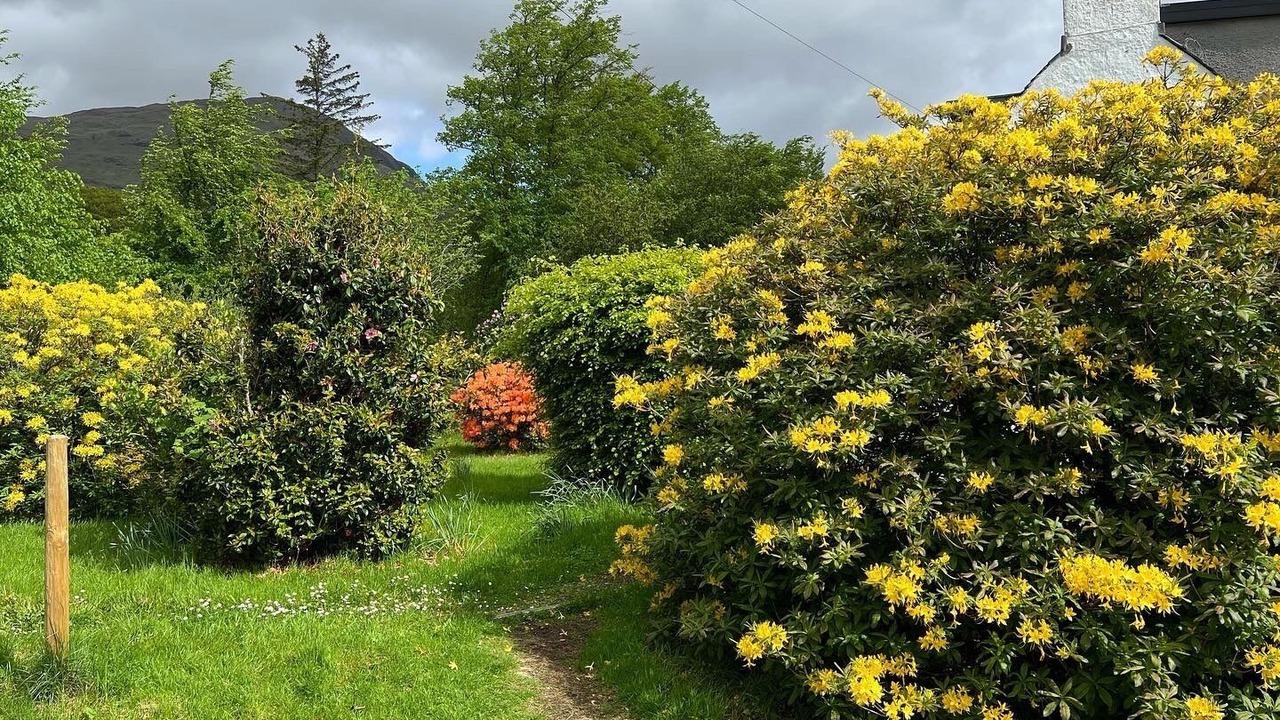 Photo of Outdoor in West Laroch