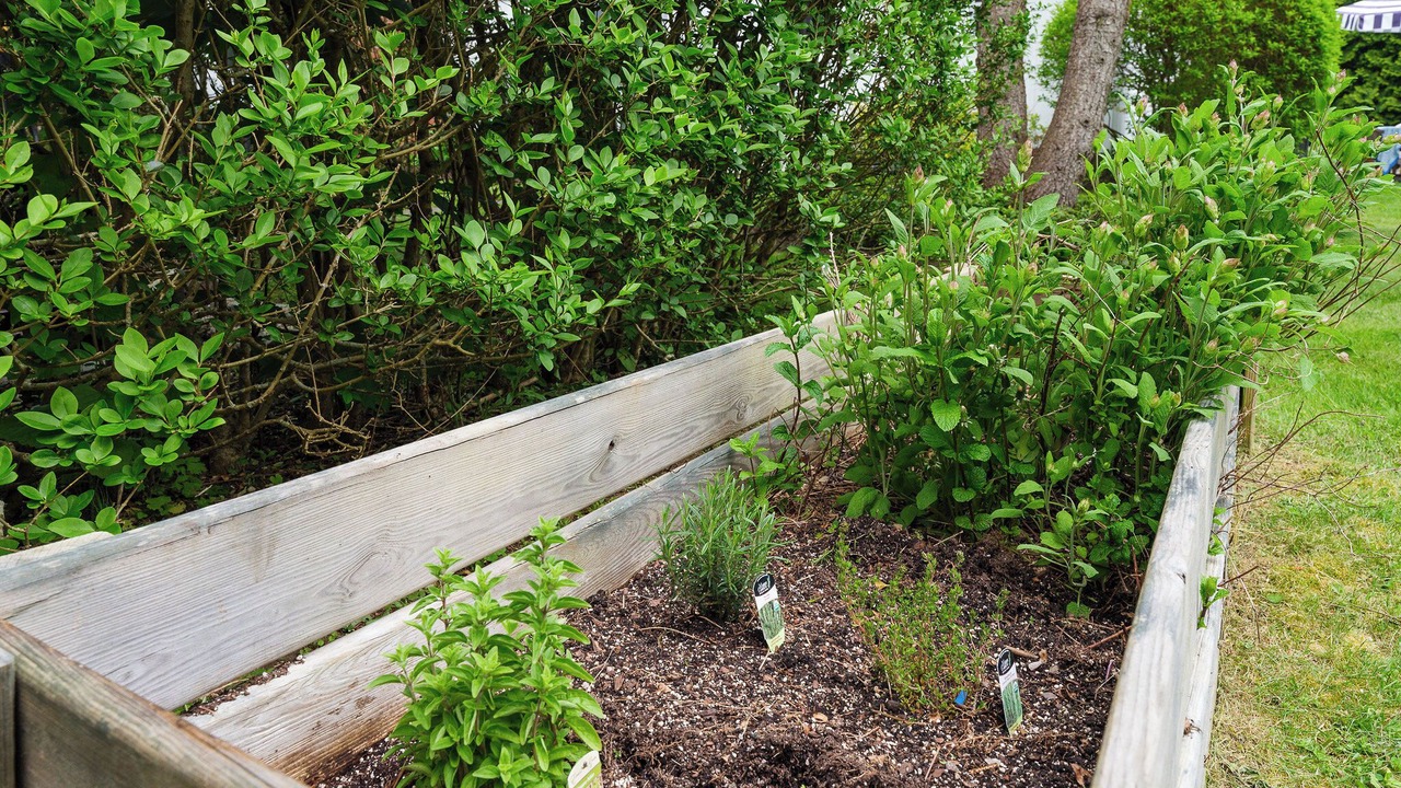 Photo of Outdoor in Shelter Island Heights