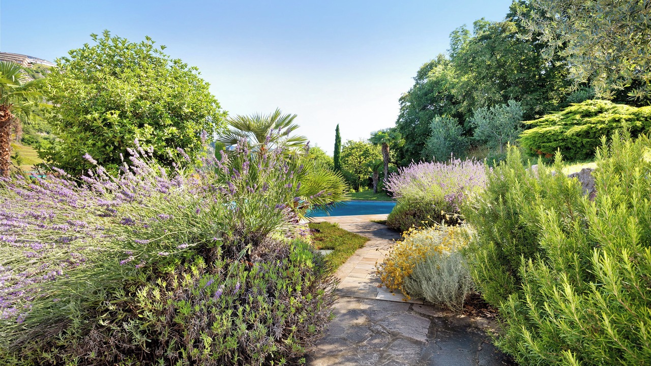 Photo of Outdoor in Voltino