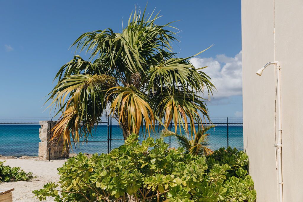 Photo of Outdoor in Frederiksted