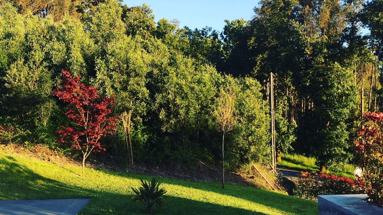 Photo of Outdoor in Portela