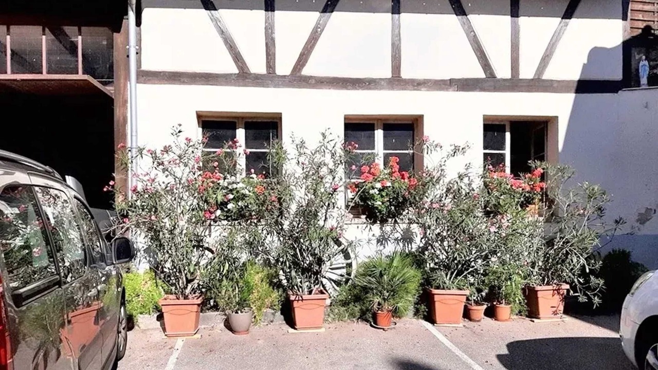 Photo of Others in Ingersheim