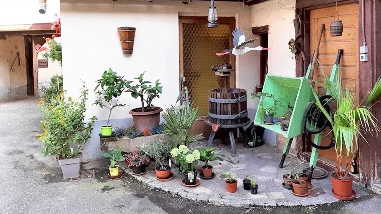 Photo of Others in Ingersheim