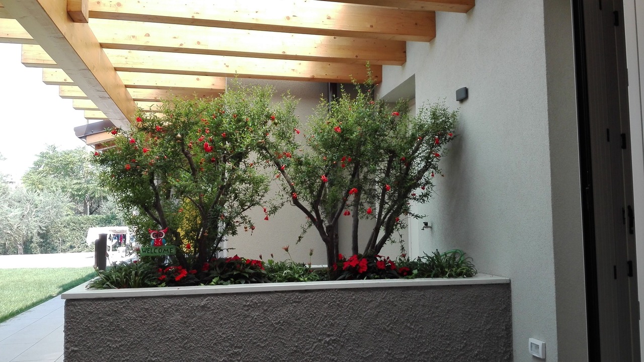 Photo of Outdoor in Bardolino