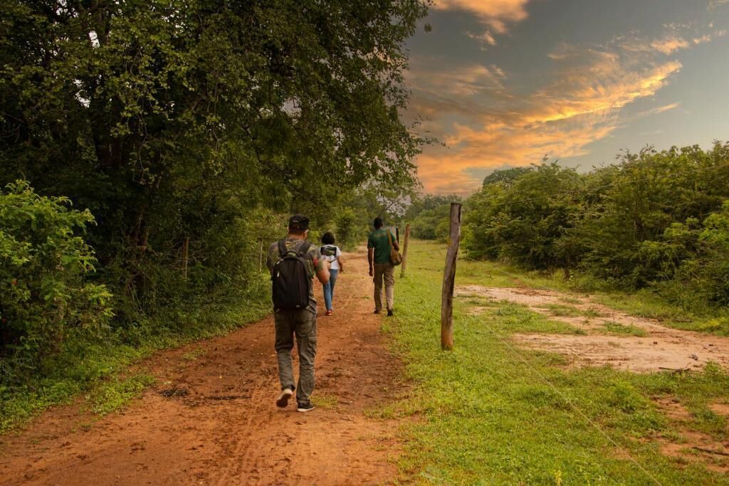 Photo of Outdoor in Kataragama