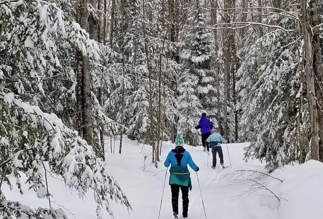 Photo of Others in Munising