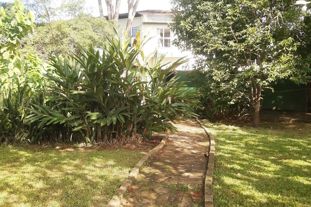 Photo of Outdoor in Lago Norte